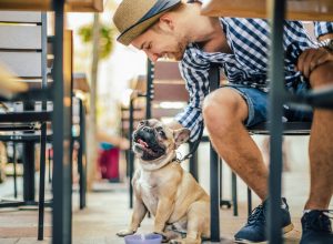 A man sitting at a cafe with his French Bulldog next to him