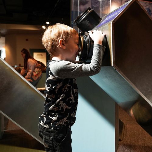 memphis museum of science and history