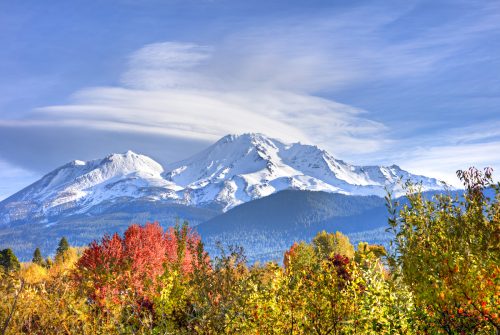 Fall foliage in front of California's snow-capped Mt. Shasta
