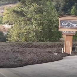 Video Shows Mudslide in California Swallowing Homes and Businesses as People Run in Panic