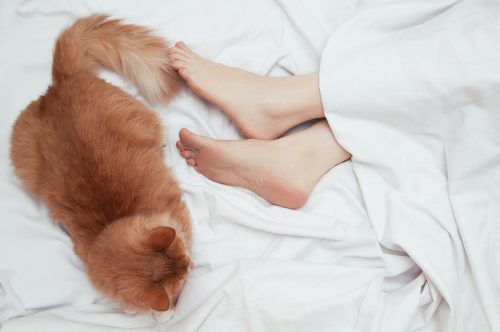 An orange cat sleeps on a bed at the feet of a Caucasian woman.