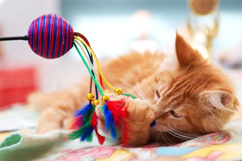 A small, orange kitten is playing with the ball with strings and feathers