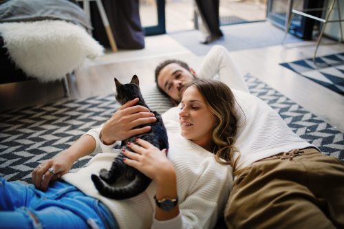 Romantic couple at home sharing tenderness with cat
