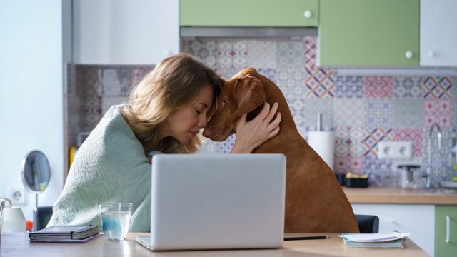 Unhappy miserable female hugging dog depressed with failure from new job position vacancies search sit alone in kitchen. Jobless woman of middle age got fired because of coronavirus epidemic lockdown