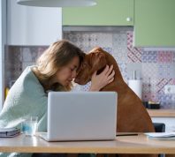 Unhappy miserable female hugging dog depressed with failure from new job position vacancies search sit alone in kitchen. Jobless woman of middle age got fired because of coronavirus epidemic lockdown