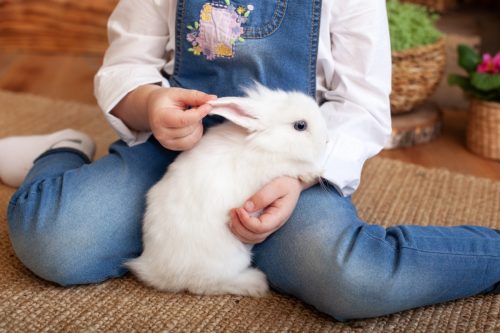 White bunny being hugged