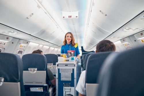 Flight attendant serves food