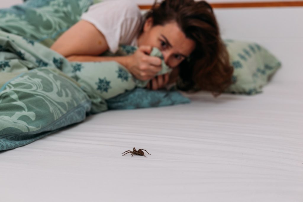 woman scared of spider on bed