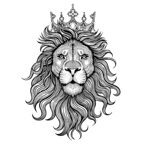 lion tattoo illustration