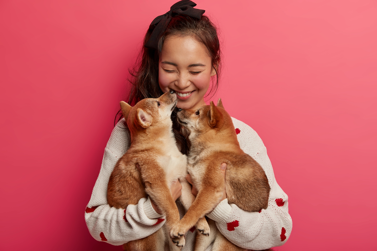 A young brunette woman wearing a sweater with hearts on it hugs her two puppies against a pink background.