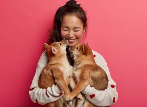 A young brunette woman wearing a sweater with hearts on it hugs her two puppies against a pink background.