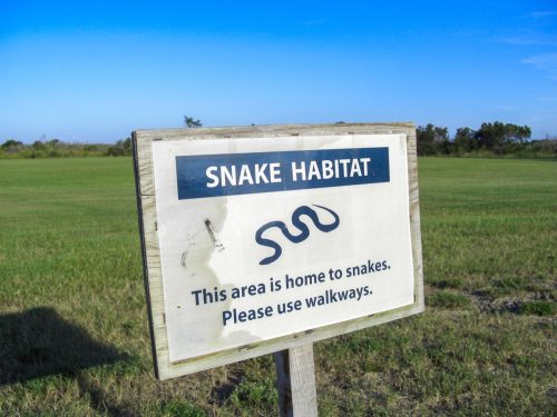 Warning sign "snake habitat" at the wetlands around Bodie Island Lighthouse on the Outer Banks of North Carolina.
