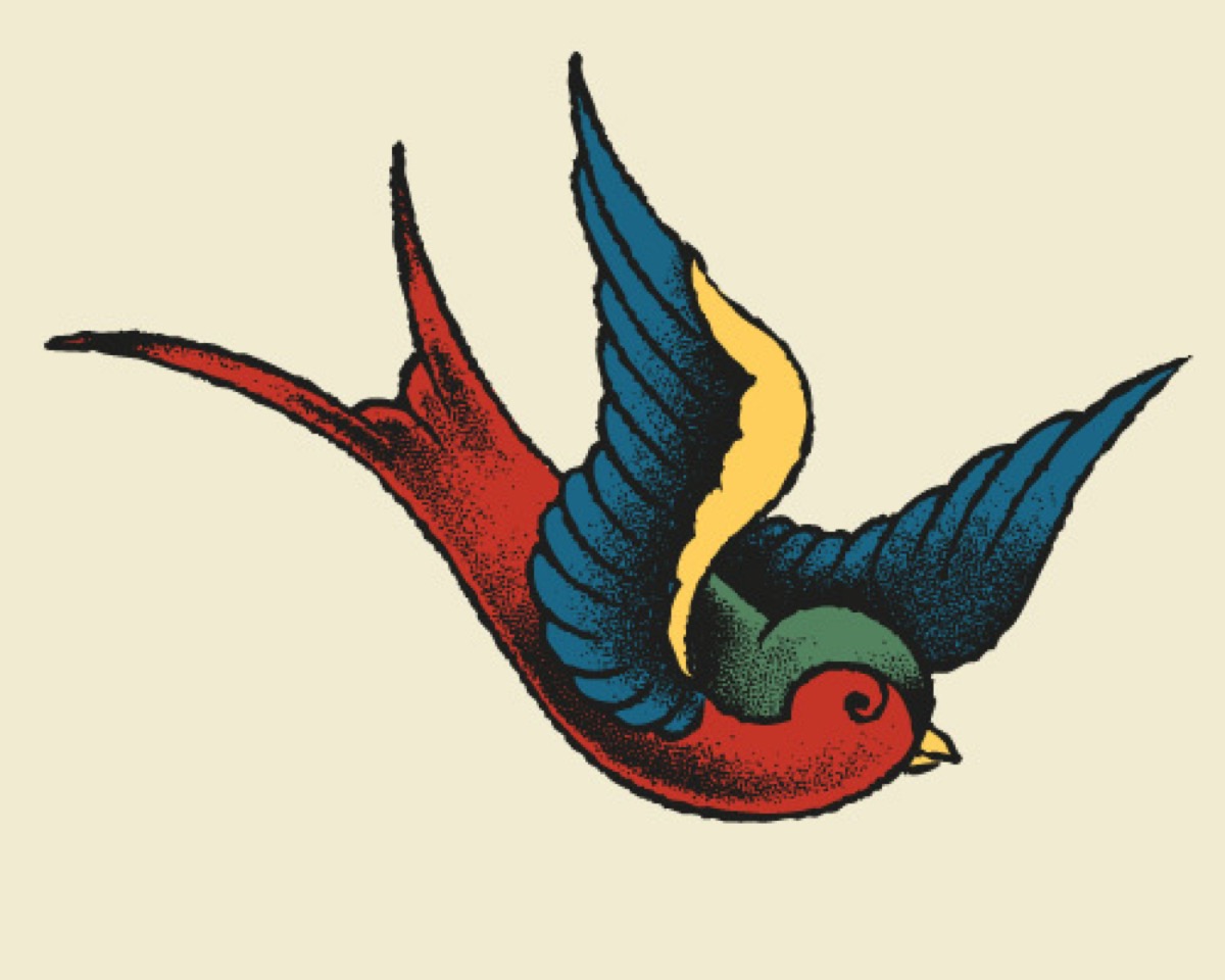 A vintage swallow tatoo