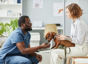 A vet talking to an owner about their dog