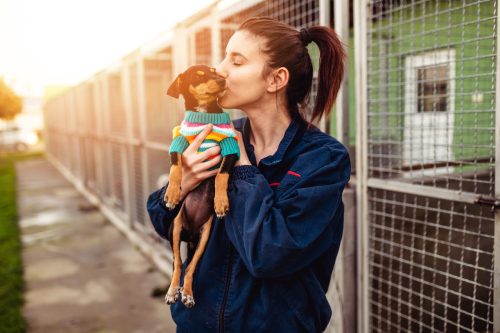 Young woman in an animal shelter adopting a dog.
