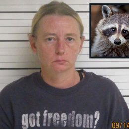 A Raccoon and a Woman Enter a Bar. Woman Gets Arrested. Here is What Happened Next.