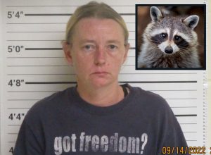 A Raccoon and a Woman Enter a Bar. Woman Gets Arrested. Here is What Happened Next.