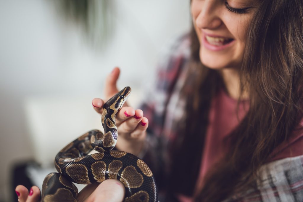 A young woman holding a ball python in her home