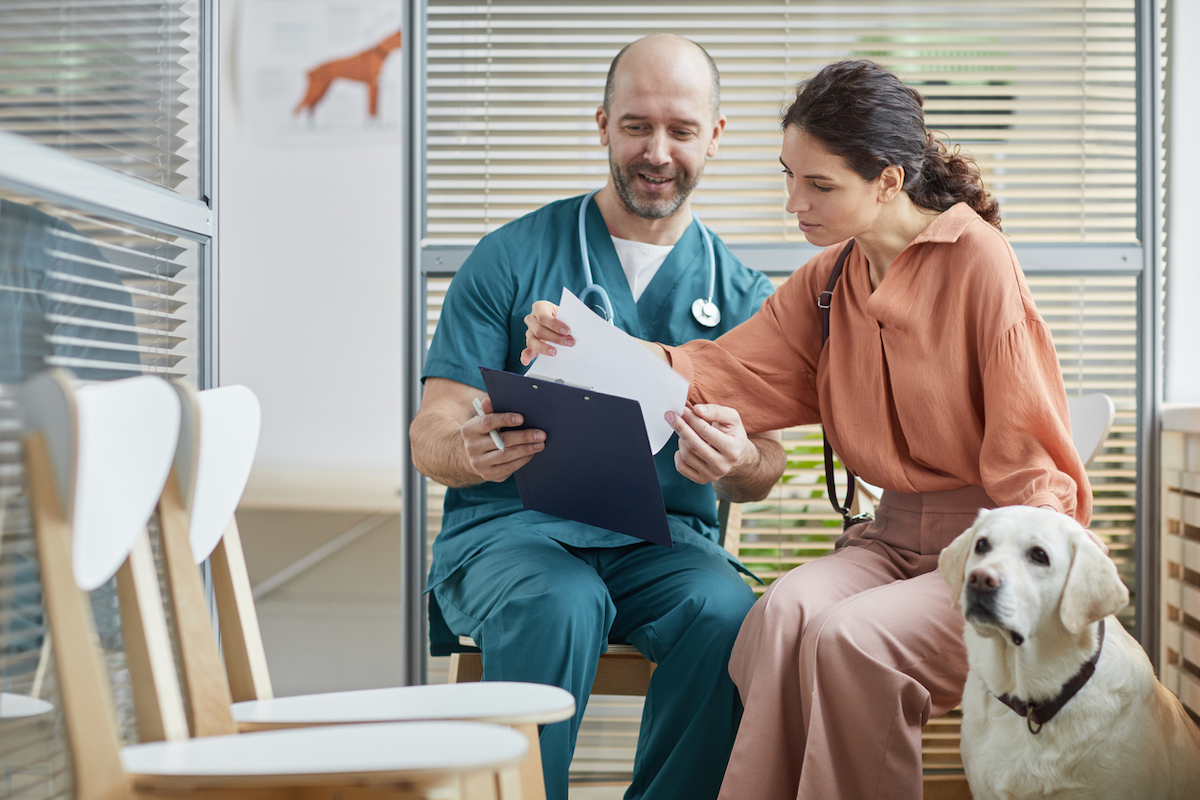 Portrait of young woman talking to smiling veterinarian in waiting room at vet clinic with white dog
