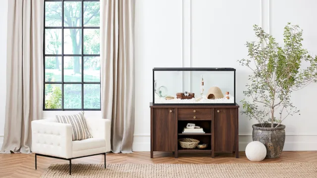 A living room featuring a dark wood stand and hamster cage designed for Nate Berkus and Jeremiah Brent's small animal collection at PetSmart.