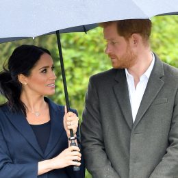 The Real Reason Prince Harry and Meghan Markle's "World Is Lonely," Royal Expert Claims 