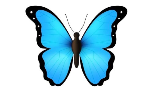 blue butterfly emoji