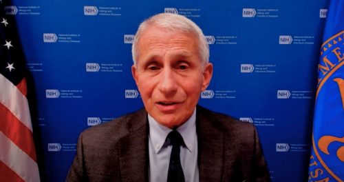 fauci interview on COVID with center for health journalism