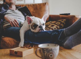 A man asleep on the couch with a dog sleeping on his lap