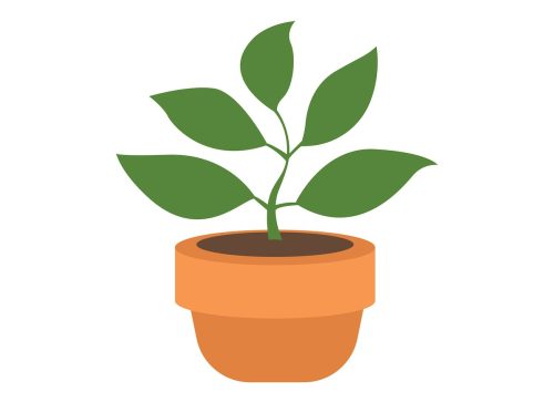 Potted plant emoji