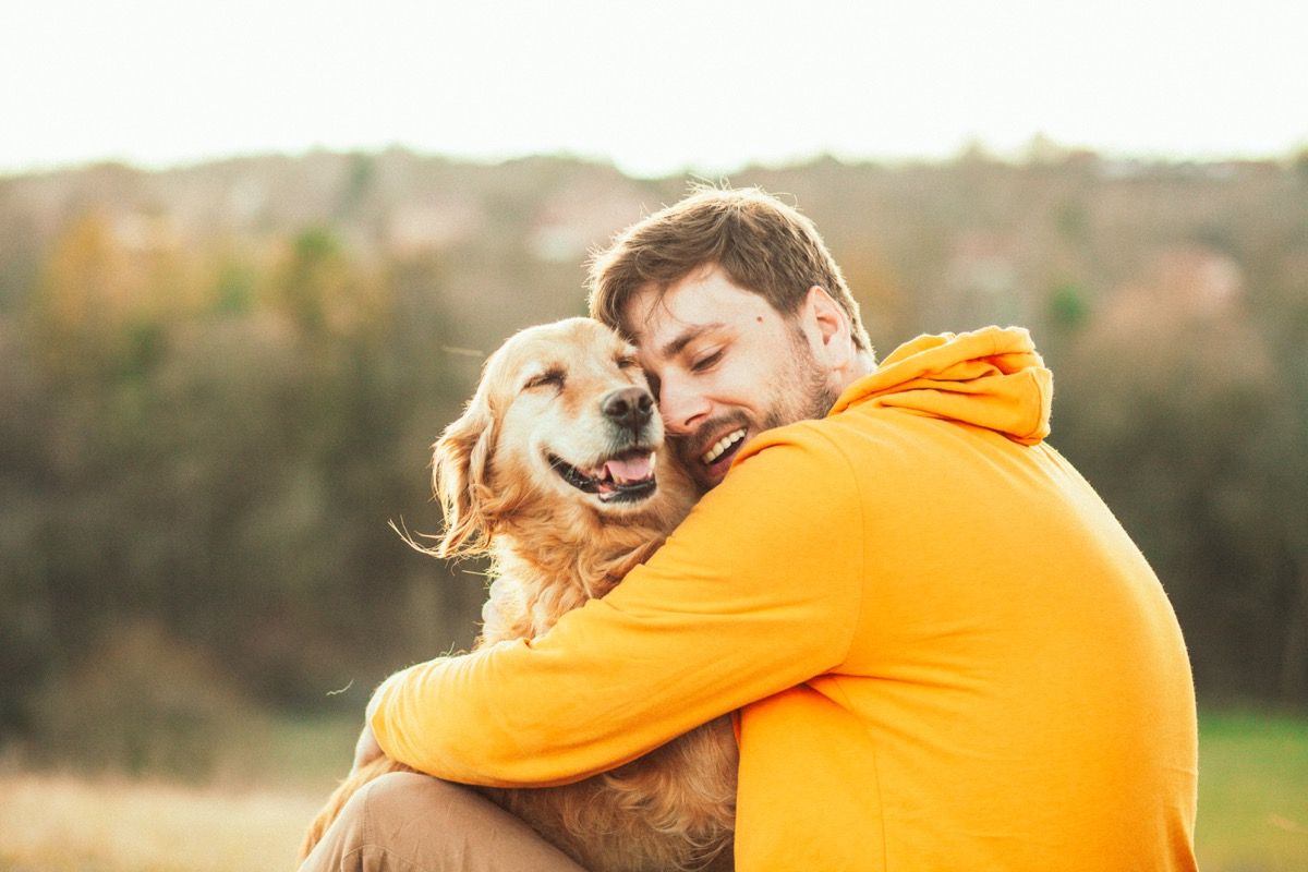 Dog find way sales home