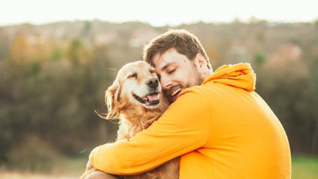 Guy and his dog, golden retriever, nature