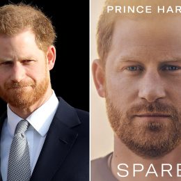 Everything You Need to Know About Prince Harry's "Provocative" Tell-All Memoir