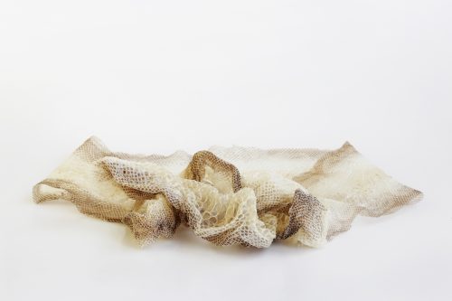 A shed snake skin against a white background.