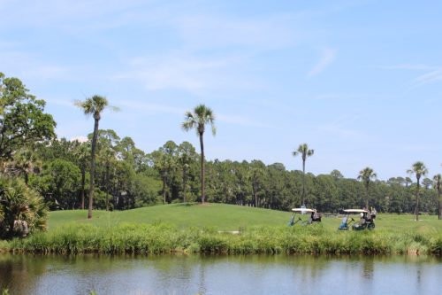 Charleston Golf
