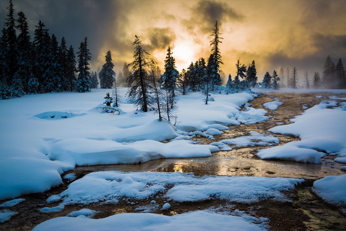 snow at yellowstone national park