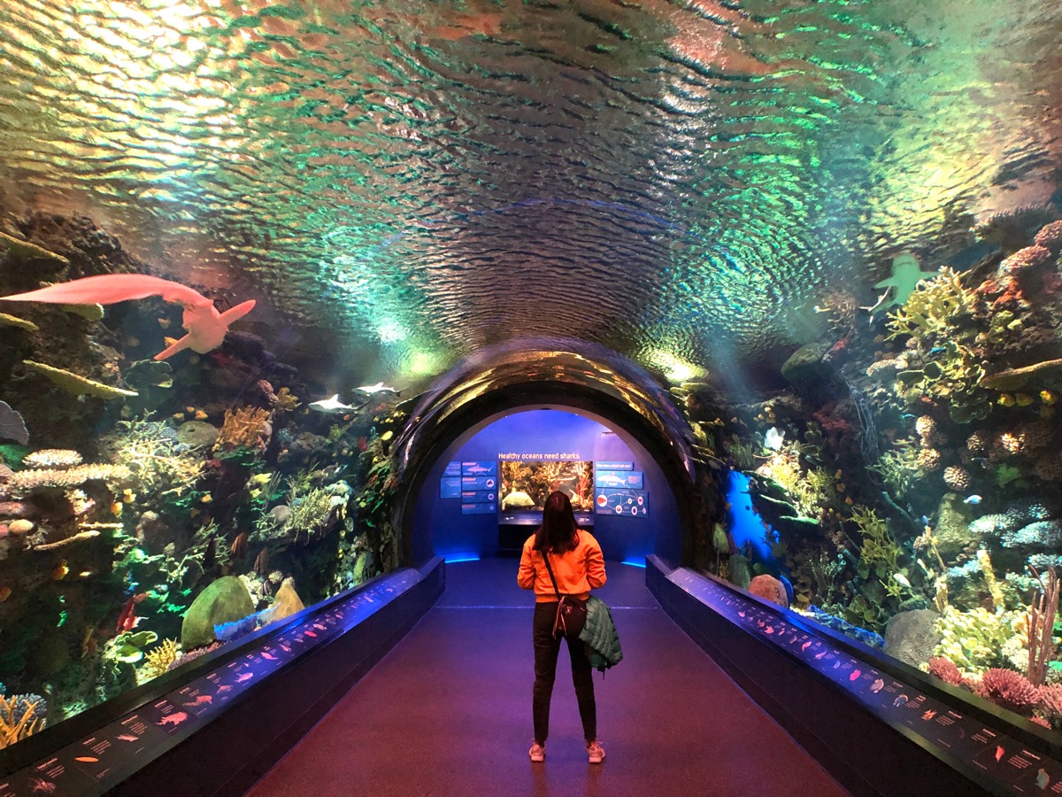 Best Aquariums in the U.S. — Best Life