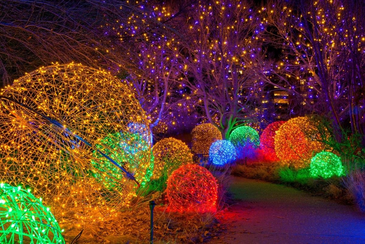 Garvan Gardens Christmas Light Display