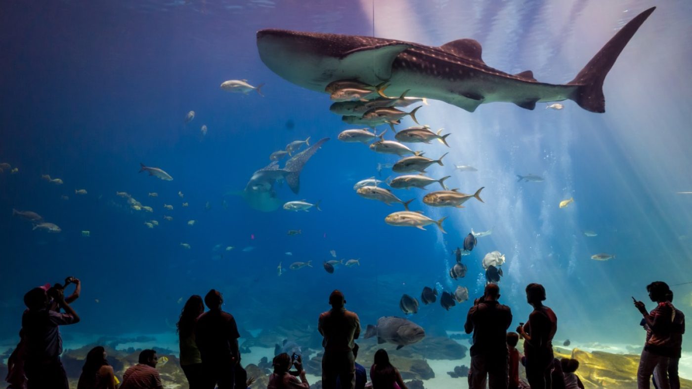 Best Aquariums in the U.S. — Best Life