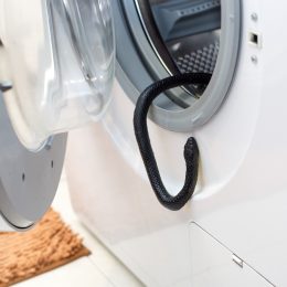 A black venomous snake hangs from the drum of the washing machine in the bathroom.