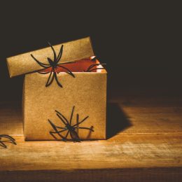 Spiders climb around a box decoration idea.