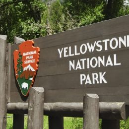 A sign for Yellowstone National Park