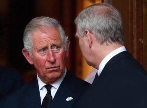 This Disgraced Member of the Royal Family is Planning a "Fightback" to Return to Public Life, Expert Claims