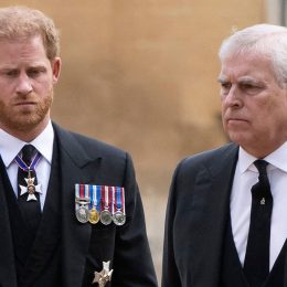 King Charles Wants to Ensure Princes Andrew and Harry Never Step In as Regents