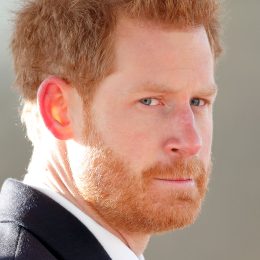 Royal System Was "Very Cruel to Spare" Prince Harry, Typecast as "the Court Jester," Claims Expert