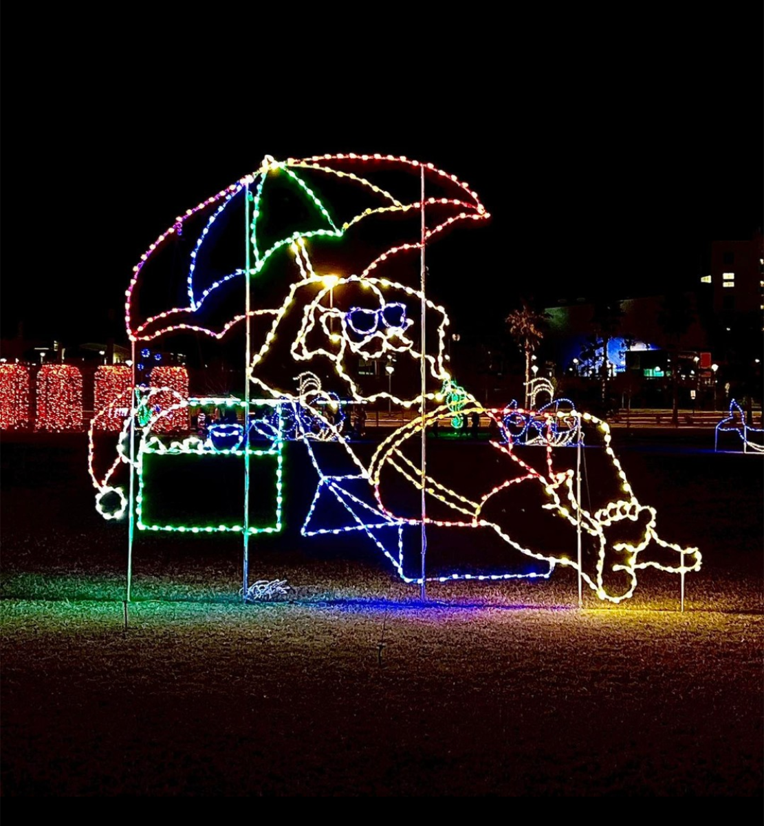 The Best Christmas Light Displays in the U.S. Coastal Mississippi's