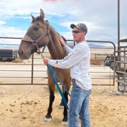 Mongo, a Utah Horse, is Reunited With Owner After Years of Running With Wild Mustangs: "It Didn't Even Seem Real."