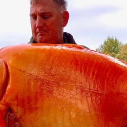 Man Caught a Gigantic 67-Pound Goldfish Nicknamed "The Carrot"