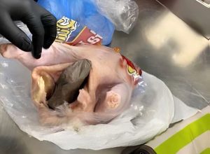 Florida Man Caught Allegedly Stuffing Gun Into a Raw Chicken and Trying to Bring it on Plane