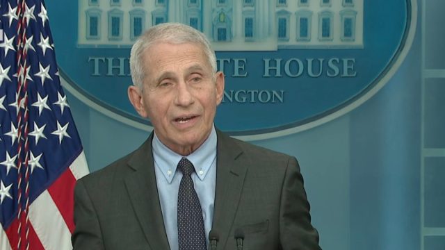 Dr. Anthony Fauci addressing reporters from the White House press room