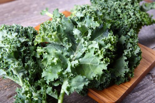 bundle of fresh kale